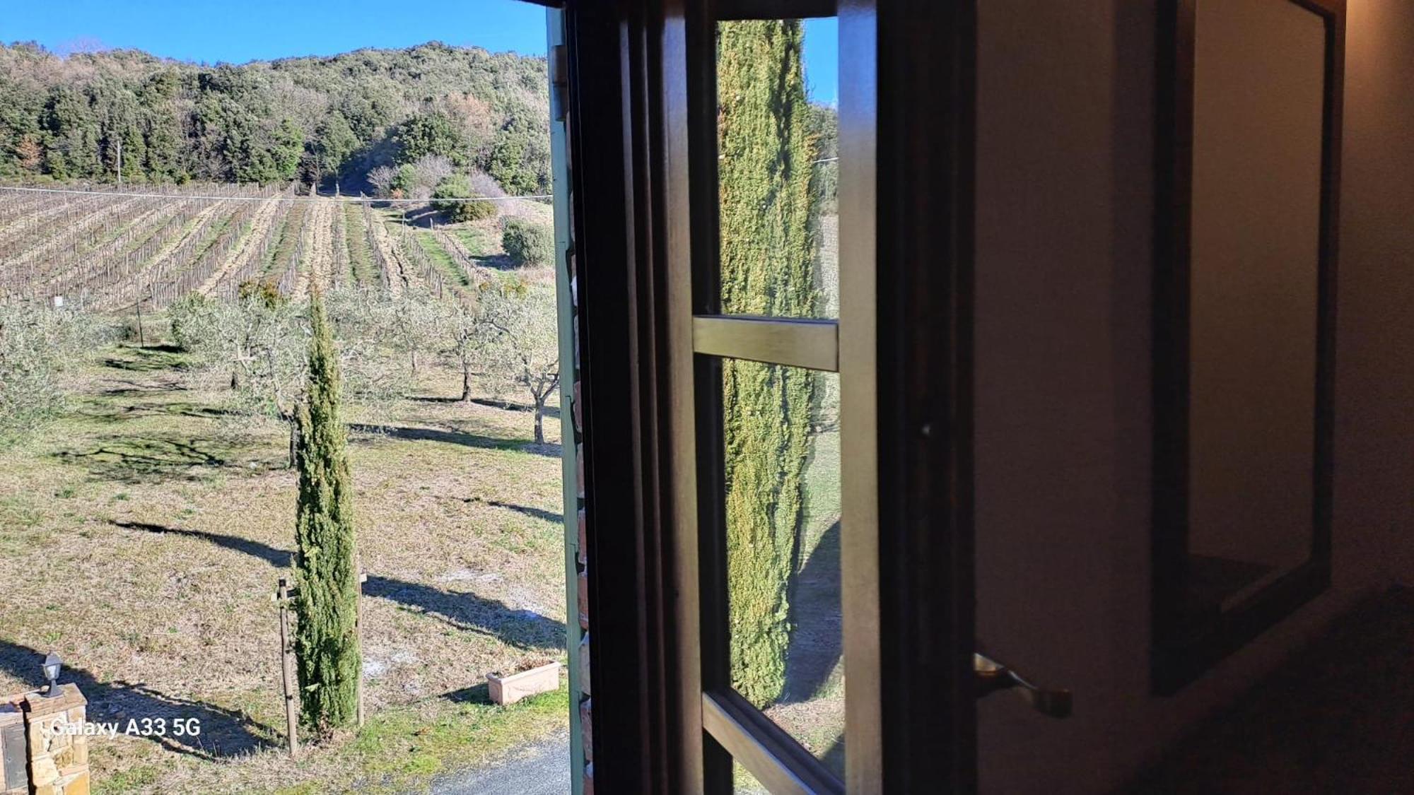 Podere Oliveta Montecatini Val di Cecina Luaran gambar