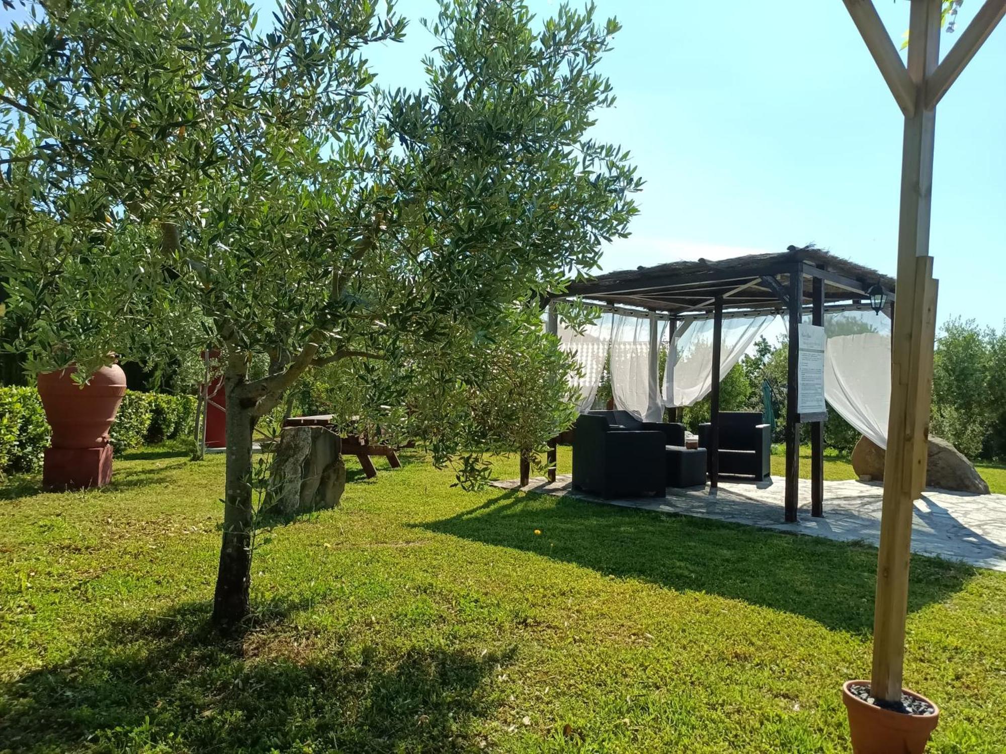 Podere Oliveta Montecatini Val di Cecina Luaran gambar