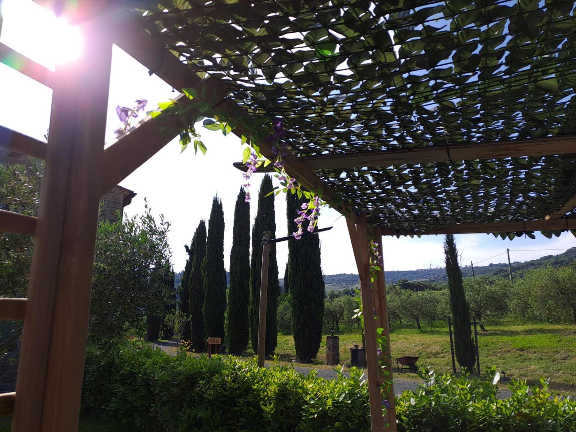 Podere Oliveta Montecatini Val di Cecina Luaran gambar
